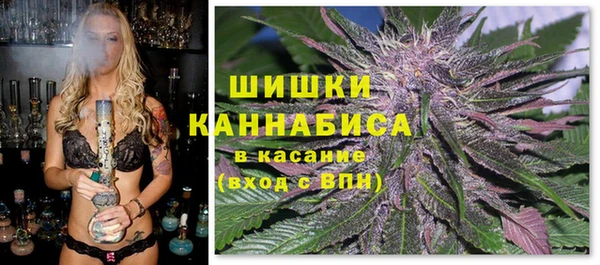 прущие грибы Абинск