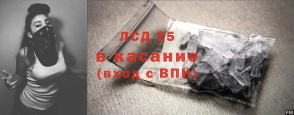 прущие грибы Абинск