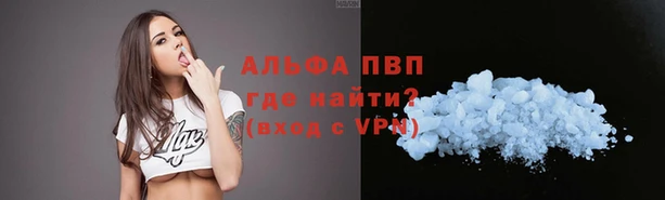 прущие грибы Абинск