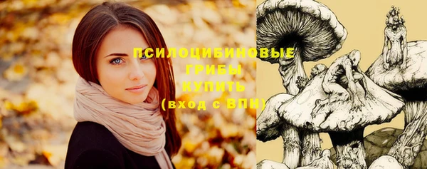стаф Абдулино
