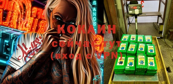 прущие грибы Абинск